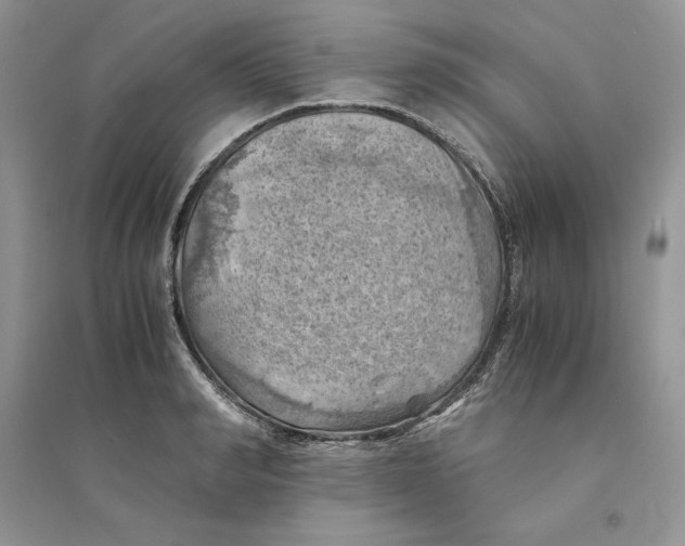 X0000094450990200711291655