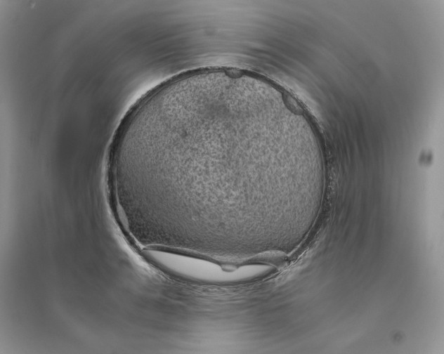 X0000094450991200711291655