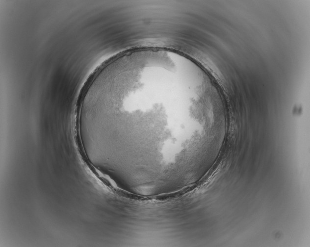 X0000094450992200711291655