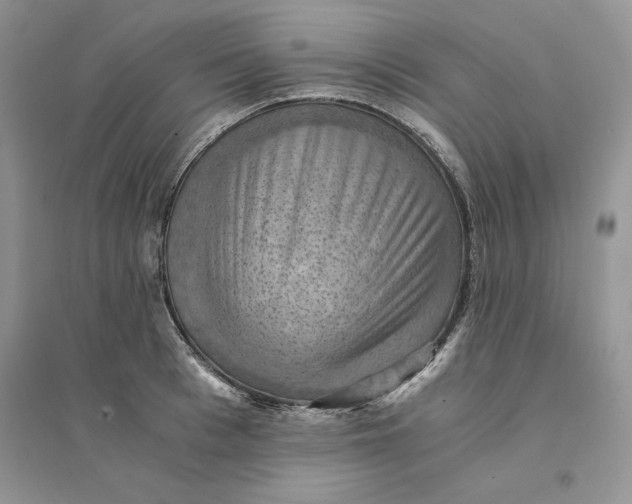 X0000094450993200711291655