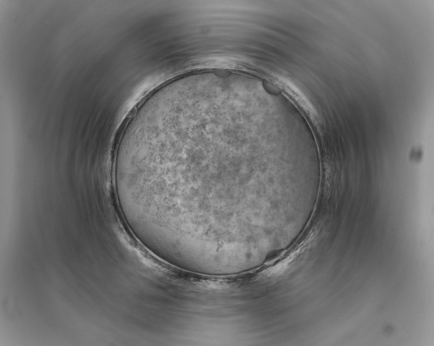 X0000094450994200711291655