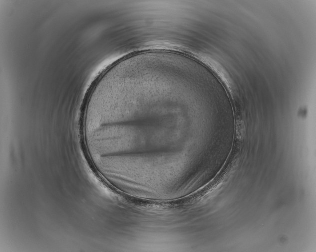 X0000094450995200711291655