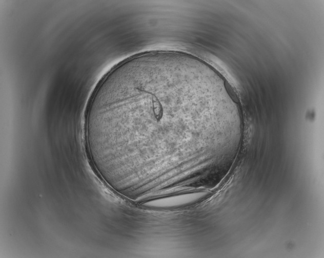 X0000094450996200711291655