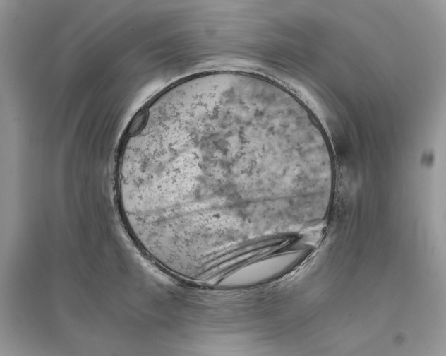 X0000094450997200711291655