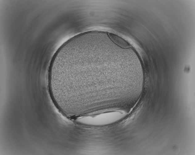 X0000094450999200711291655