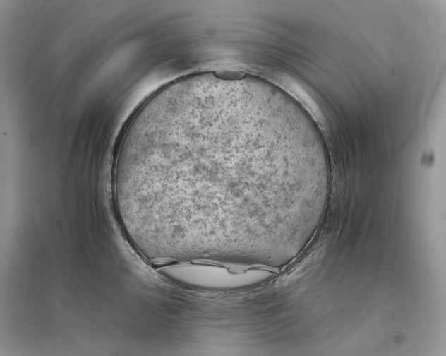 X0000094451000200711291655