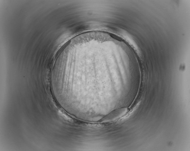 X0000094451001200711291655