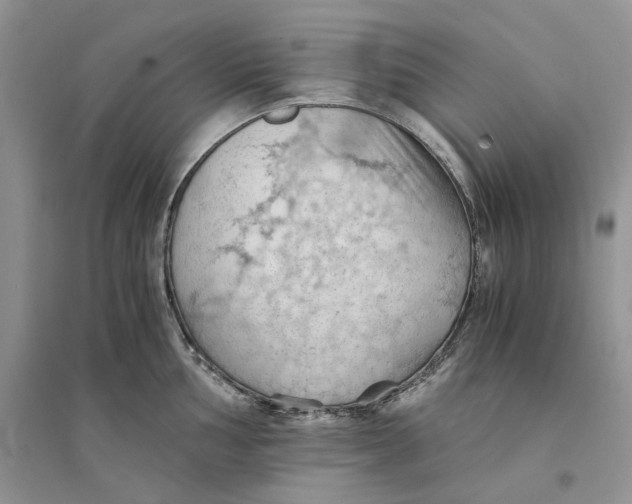 X0000094451002200711291655