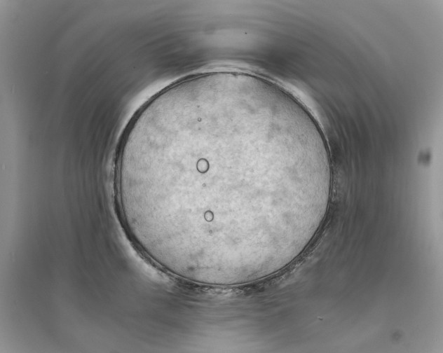 X0000094451003200711291655