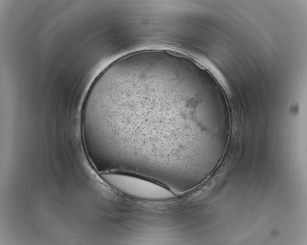 X0000094451004200711291655