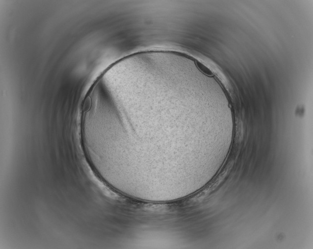 X0000094451006200711291655