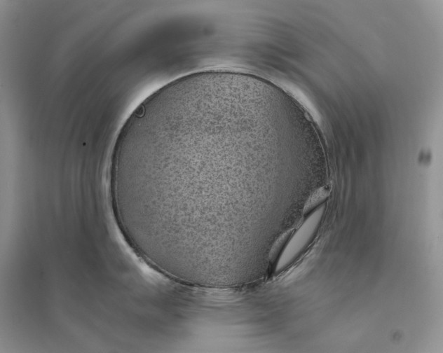 X0000094451007200711291655