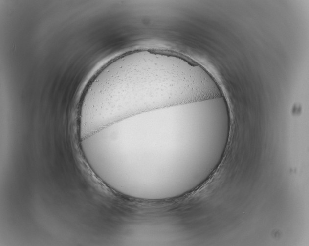 X0000094451008200711291655