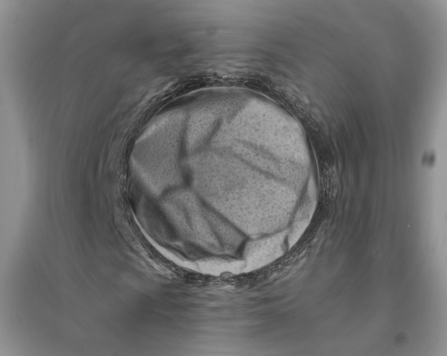 X0000094451009200711291654