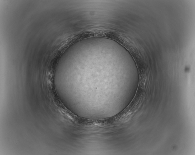 X0000094451010200711291654