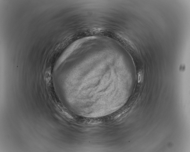 X0000094451011200711291654