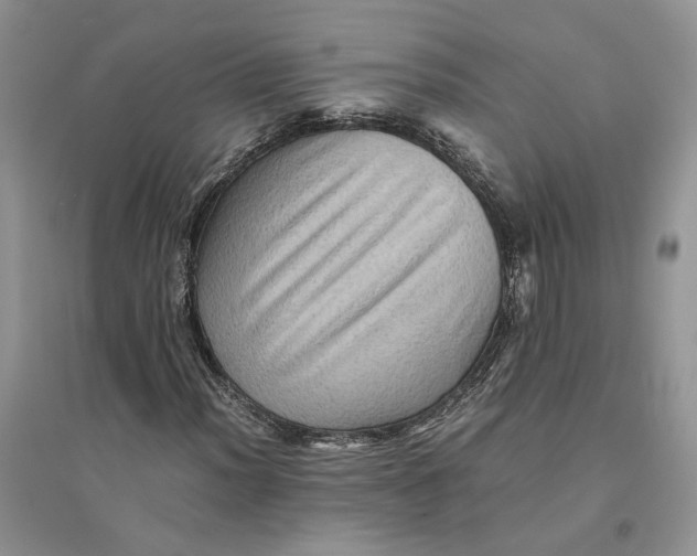 X0000094451012200711291654