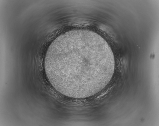 X0000094451013200711291654