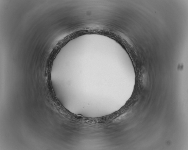 X0000094451016200711291654