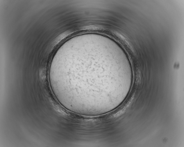 X0000094451017200711291654