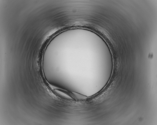 X0000094451018200711291654