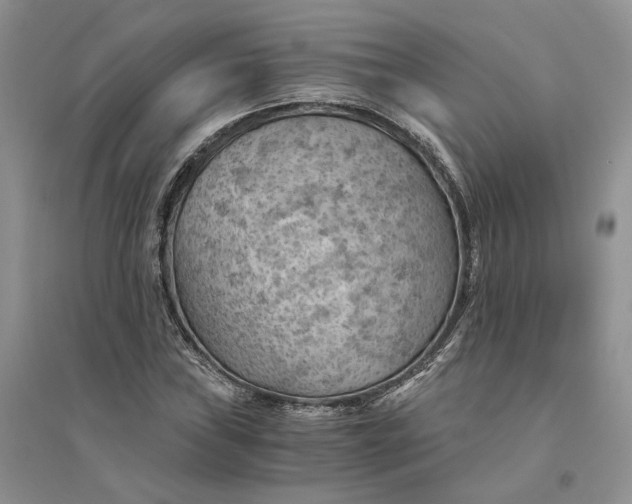 X0000094451019200711291654