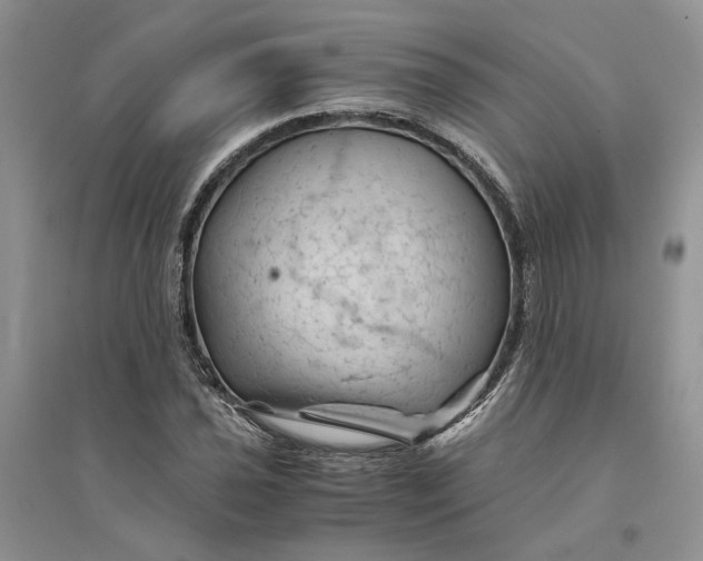 X0000094451021200711291654