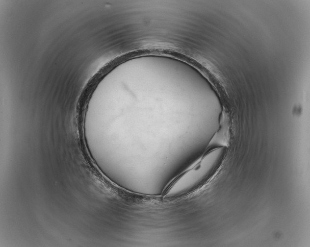 X0000094451022200711291654