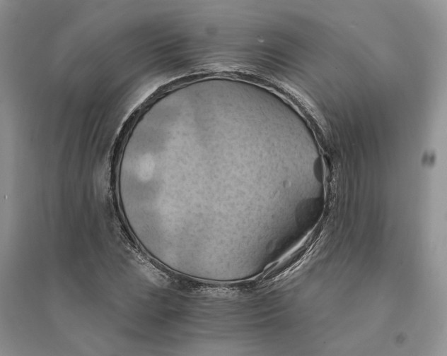 X0000094451023200711291654