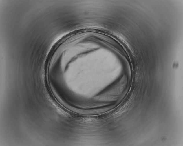 X0000094451024200711291654