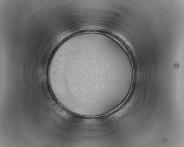 X0000094451025200711291654