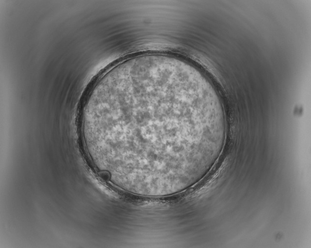 X0000094451026200711291654