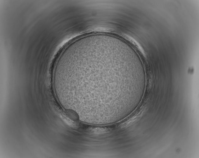 X0000094451027200711291654