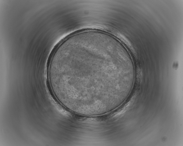 X0000094451028200711291654