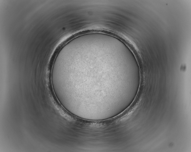 X0000094451029200711291654