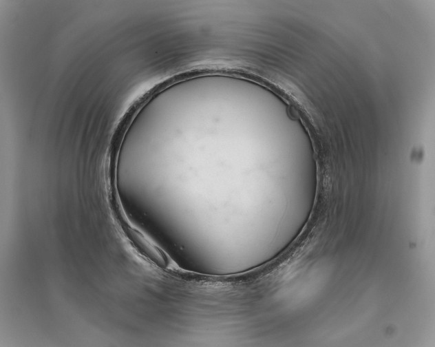 X0000094451030200711291654