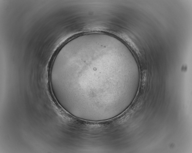 X0000094451031200711291654