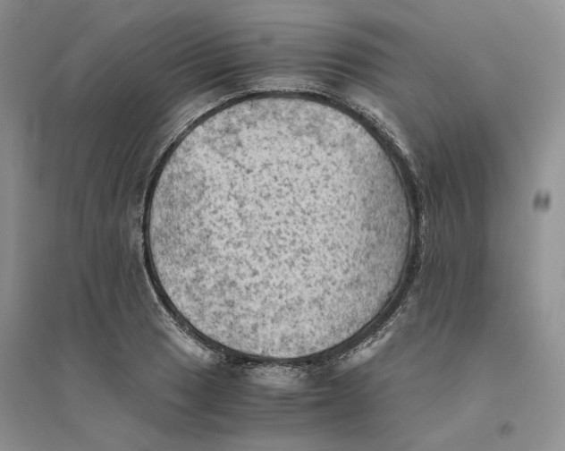 X0000094451033200711291654