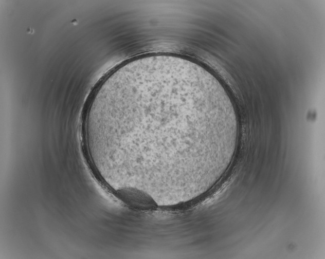 X0000094451034200711291654