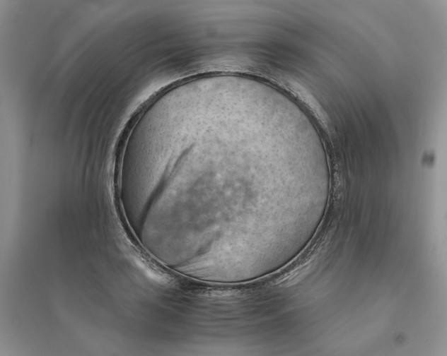 X0000094451035200711291654