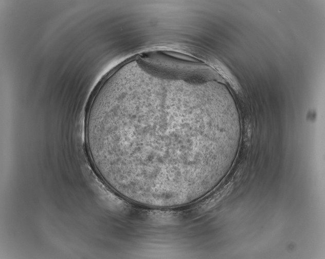 X0000094451036200711291654