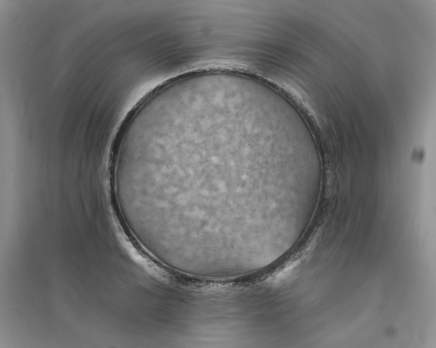 X0000094451038200711291654