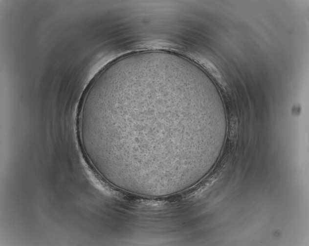 X0000094451039200711291654