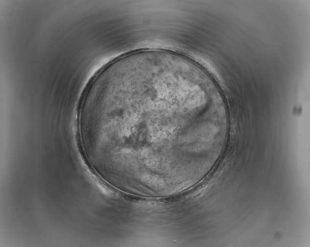 X0000094451040200711291654