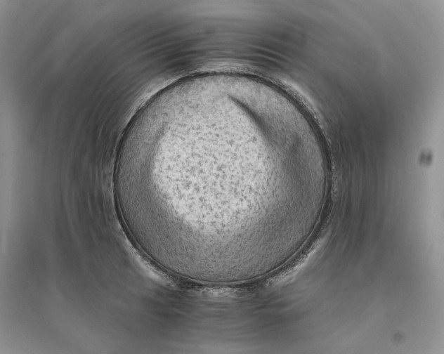 X0000094451041200711291654