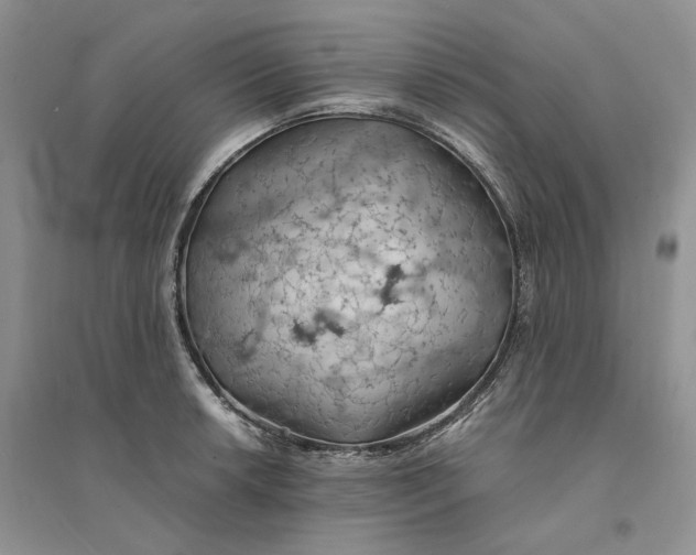 X0000094451042200711291654