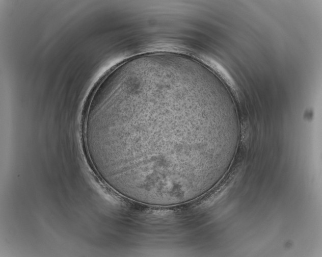 X0000094451043200711291654