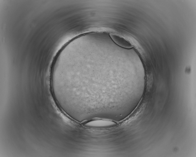 X0000094451046200711291654