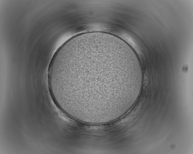 X0000094451047200711291654