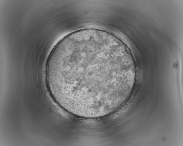 X0000094451048200711291654